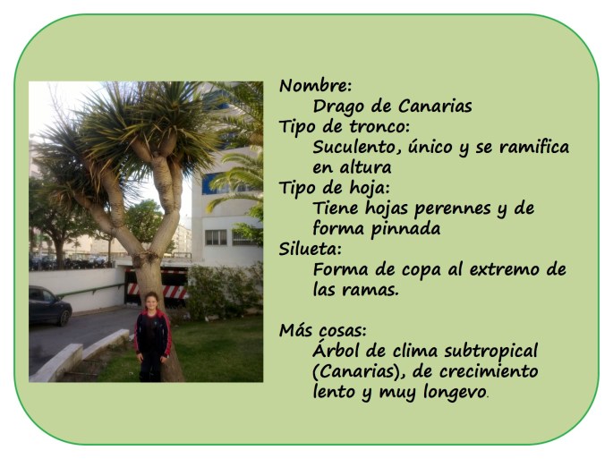 IRENE-y-sus-arboles2