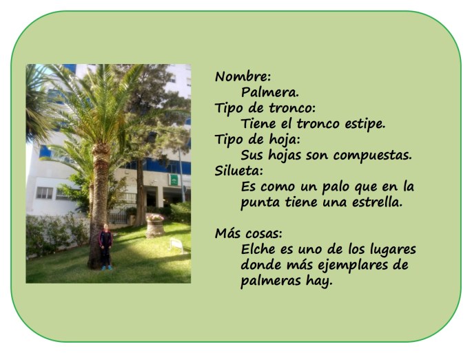 IRENE-y-sus-arboles3