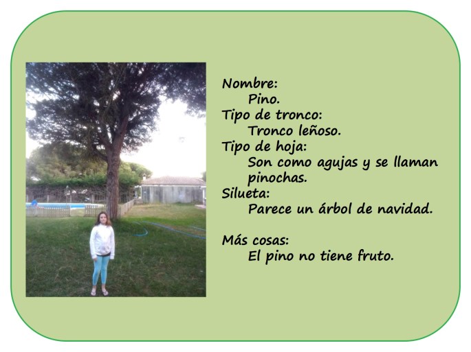 IRENE-y-sus-arboles4