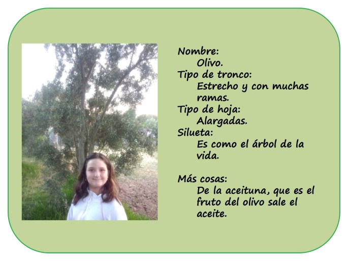 IRENE-y-sus-arboles5