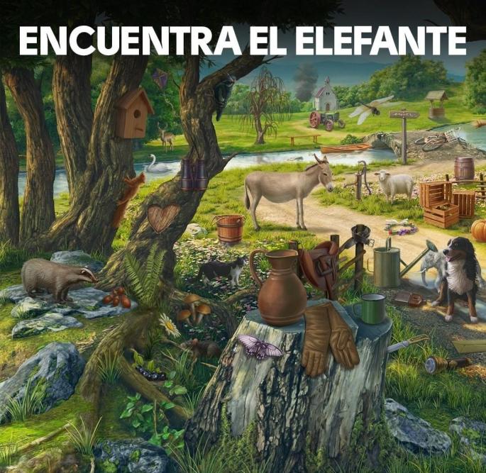 WhatsApp Image 2020-04-09 at 21.32.51