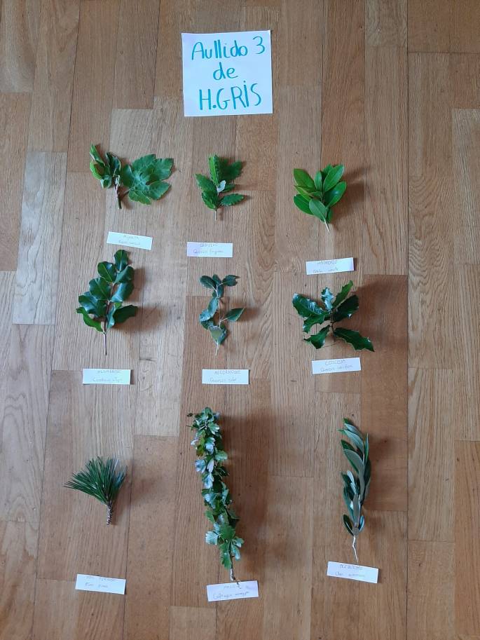 WhatsApp Image 2020-05-19 at 16.20.55