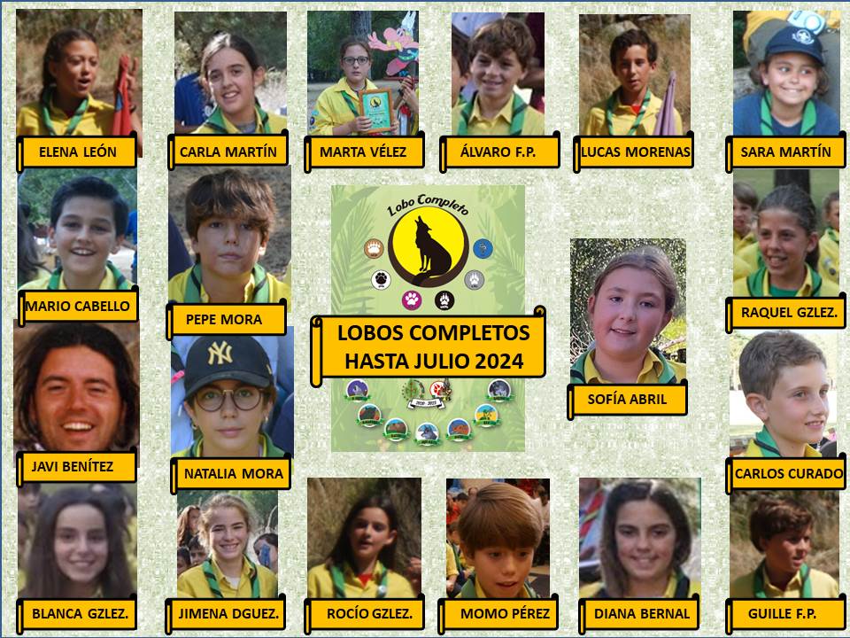 PHOTO-2024-10-16-22-44-55